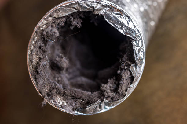 Best Affordable HVAC Duct Cleaning  in Linn, MO